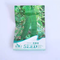 knif bean seeds 3 seeds/bags