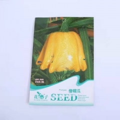Ornamental pumpkin seeds 8 seeds/bags