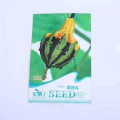 Ornamental pumpkin seeds 8 seeds/bags