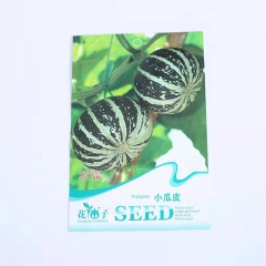 Tiny pumpkin seeds 8 seeds/bags