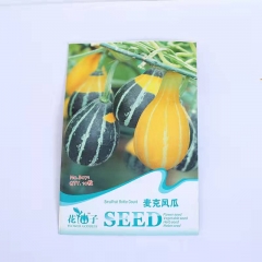 microphone pumpkin seeds 10 seeds/bags