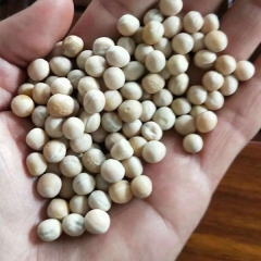 White pea sprouting seeds 1kg