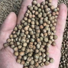 Grey pea sprouting seeds 1kg