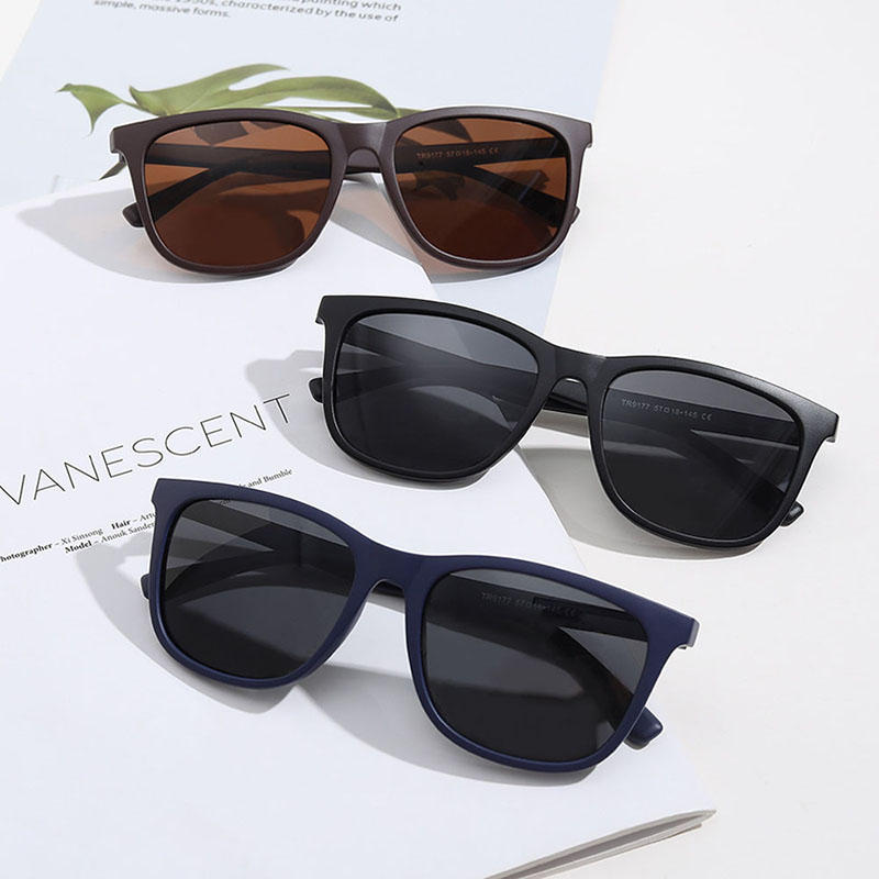 Polarized Frosted Frame Black Sunglasses Manufacturer