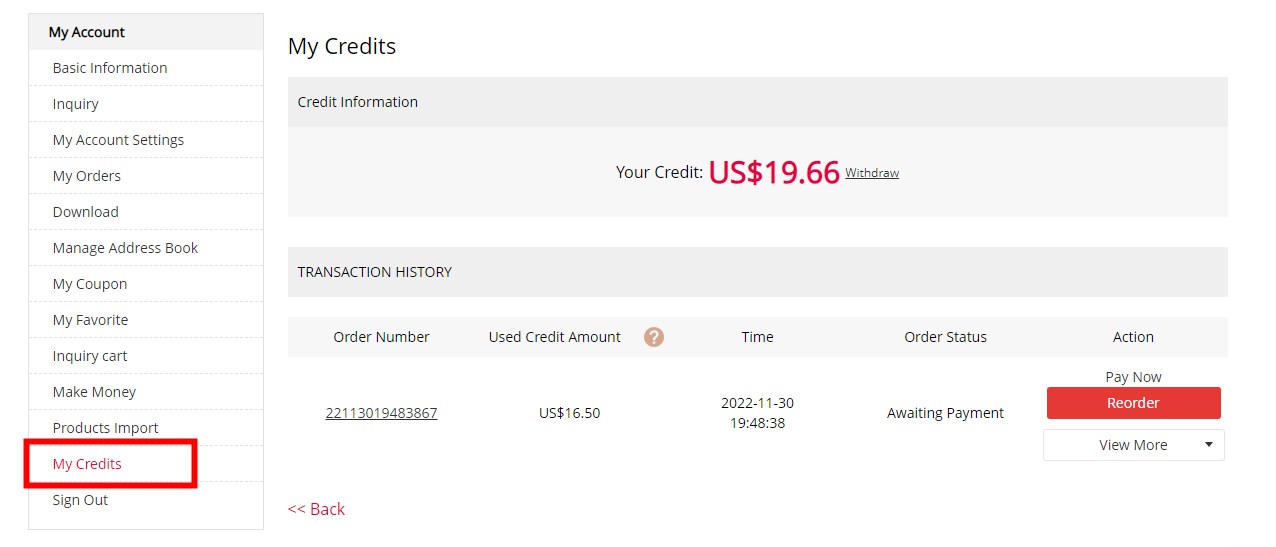 How to check my Store Credit Balance?