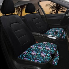 Front seat cushions (two)