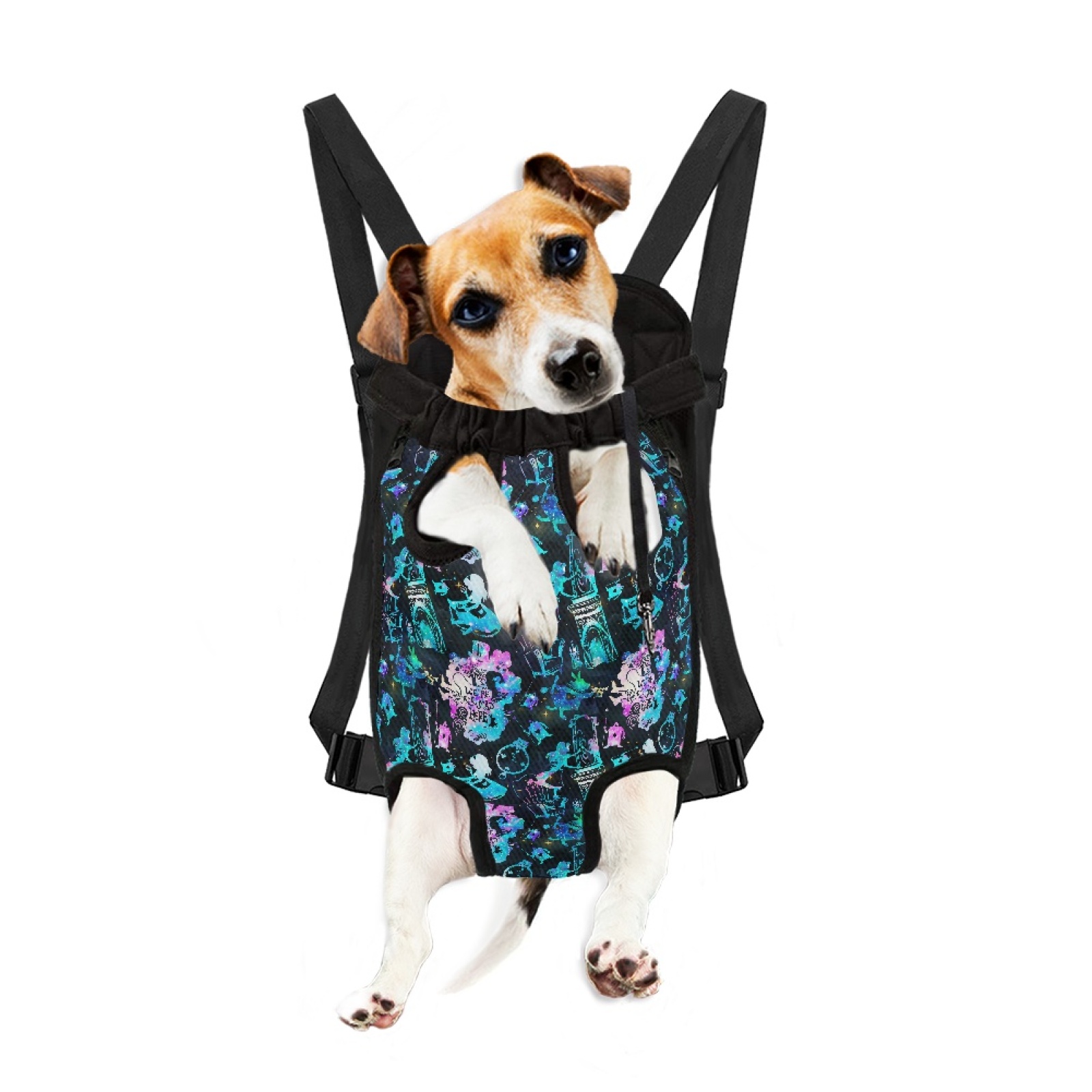 Small pet chest backpack