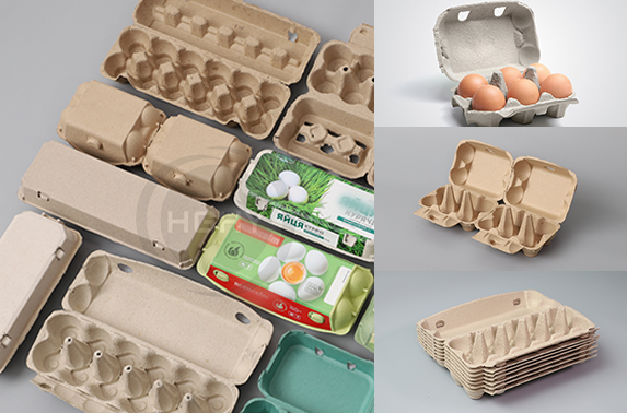 egg carton product