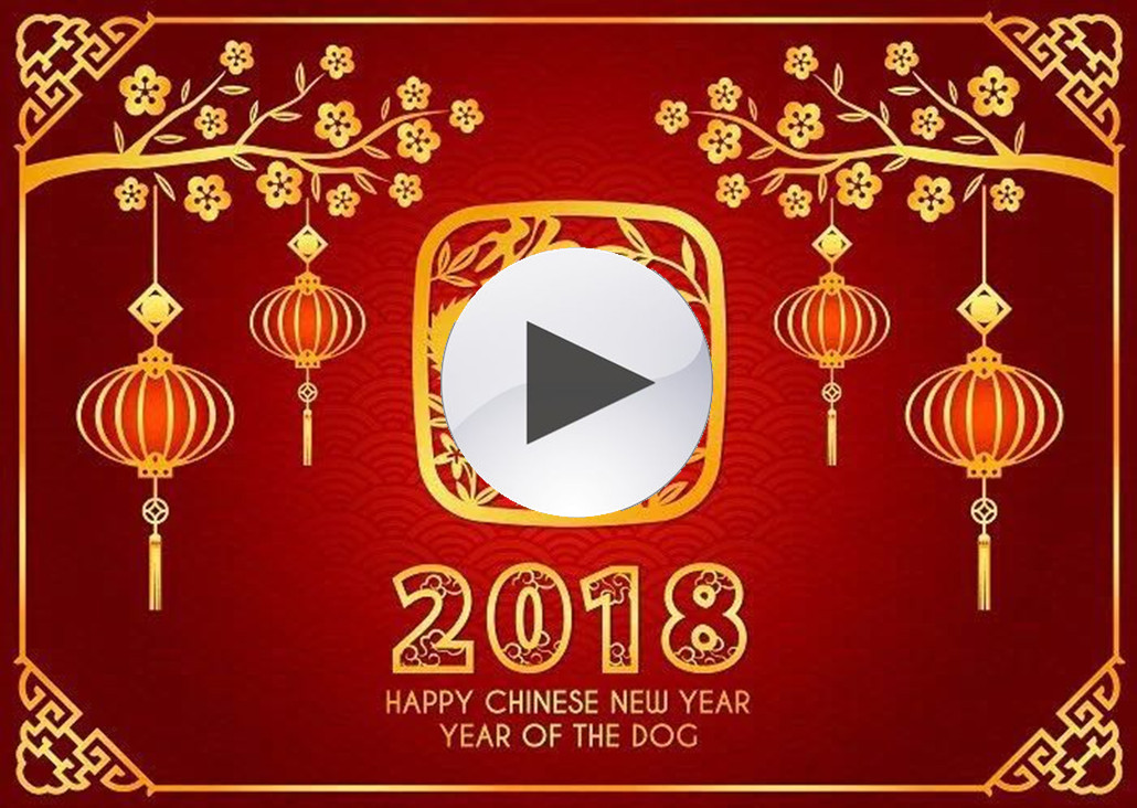 HGHY | 2018 Happy Chinese New Year