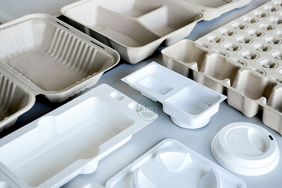 Global Market Information for Molded Fiber Pulp Packaging