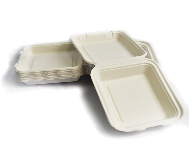 biodegradable table ware paper plate