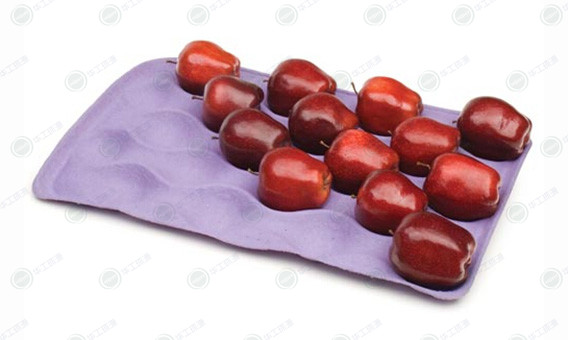 pulp molded fruit trays