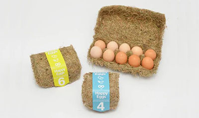 A very simple and fun egg carton