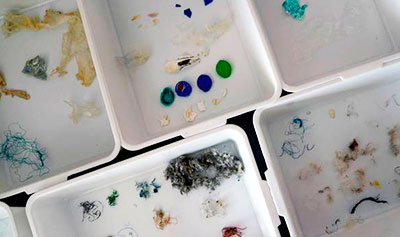 How do we stop the microplastic invasion and how harmful are they?