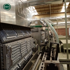 Automatic Rotary Fruit Tray Machine