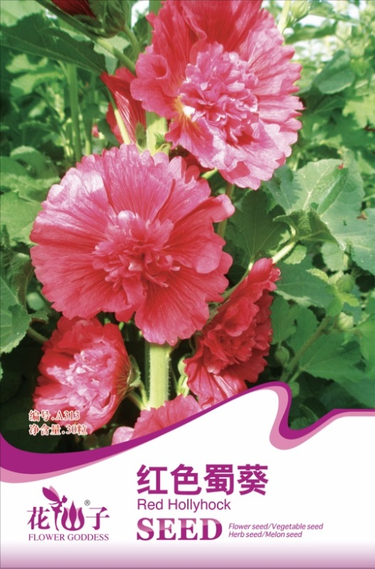 More than 10000 Kinds of Home Garden Seeds-Small Packets For Selling