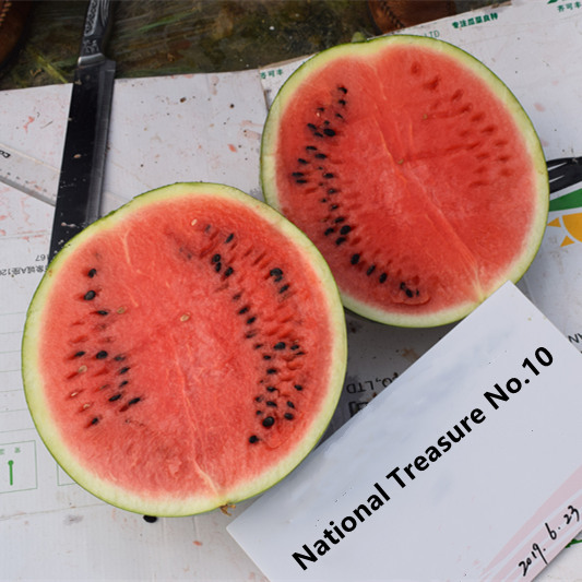 F1 Seeded Watermelon Seeds-National Treasure No.10