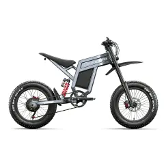 Electric Bike SHENGMILO S900 1500W 60v 30Ah 20