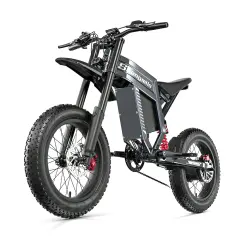 Electric Bike SHENGMILO S900 1500W 60v 30Ah 20