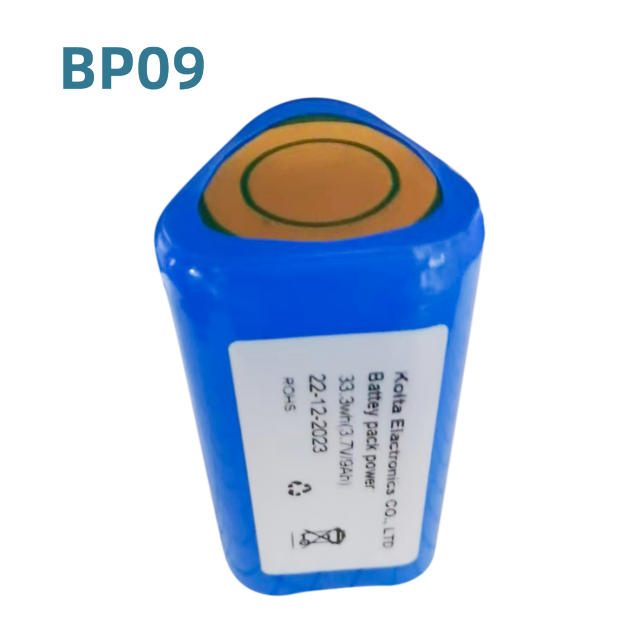 BP09 Batteries Pack