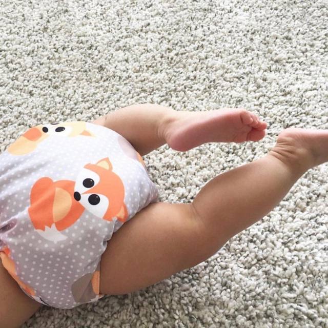 ALVABABY Big Size Pocket Cloth Diaper -Fox(ZH042A)