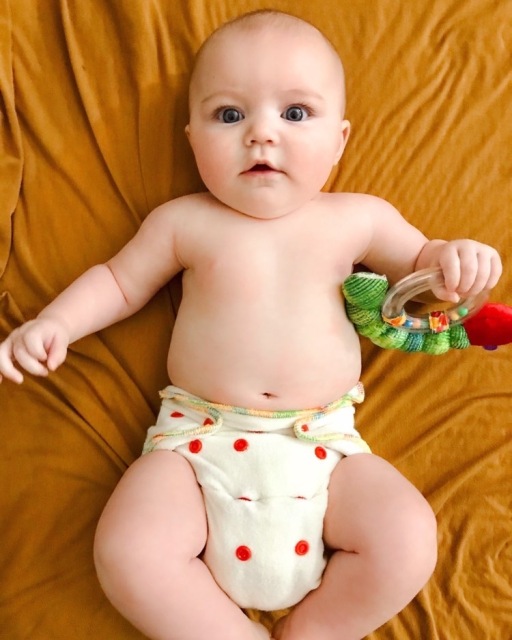 ALVABABY Bamboo Fitted Diaper- FT01