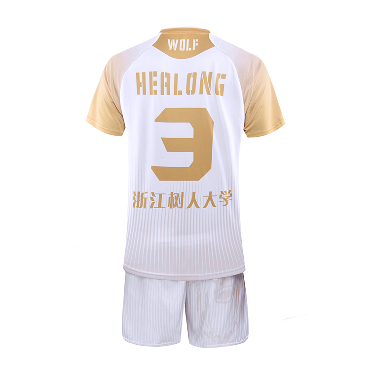 Low Moq & Custom Sublimated Men's Volleyball Uniform White