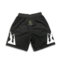 Custom Sublimated Embroidered Mesh Active Basketball Shorts