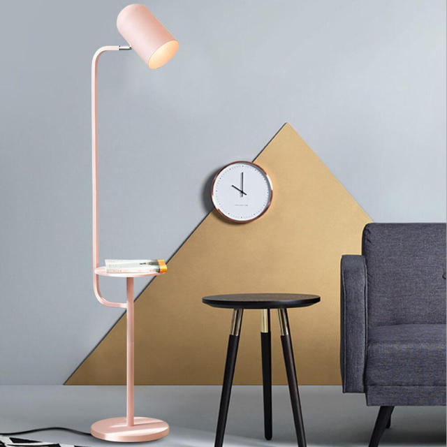 OOVOV Adjustable Simple Floor Lamps Living Room Floor Light With Coffee Table for Bedroom Bedsides Study Room Macaron Floor Light