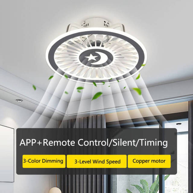 Indoor LED Ceiling Fan with Lights Low Profile 20 Inch Remote and APP Control