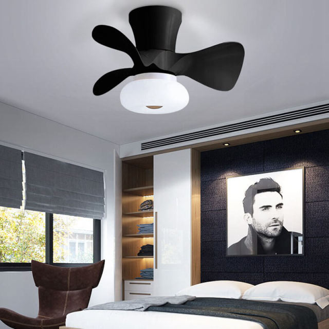 Ceiling Fan with Lights 22 inch Ceiling Fan with 3 Blades Remote Control