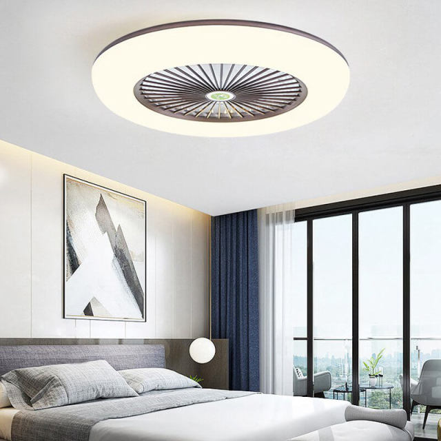 Enclosed Ceiling Fan with Led Lights 21.7 Inch Low Profile Ceiling Fan Light