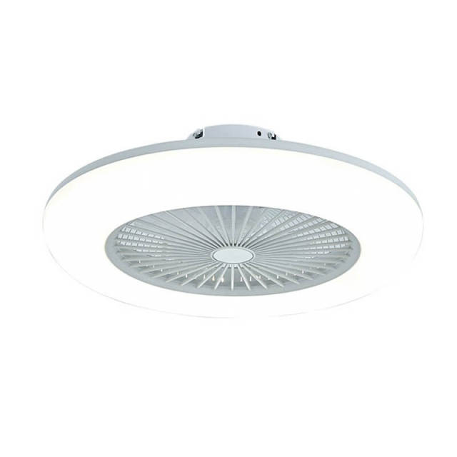 Enclosed Ceiling Fan with Led Lights 21.7 Inch Low Profile Ceiling Fan Light