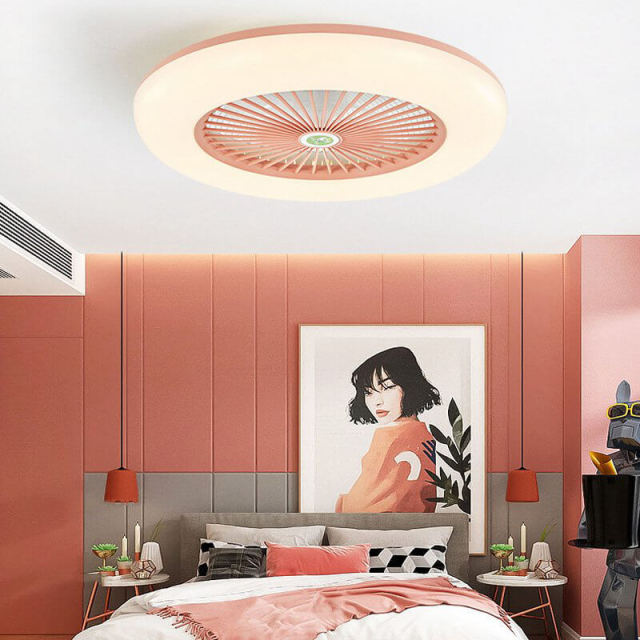 Enclosed Ceiling Fan with Led Lights 21.7 Inch Low Profile Ceiling Fan Light