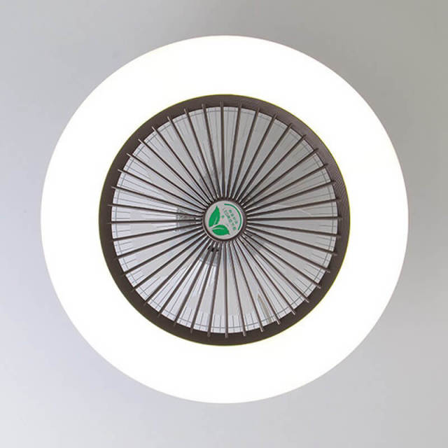 Enclosed Ceiling Fan with Led Lights 21.7 Inch Low Profile Ceiling Fan Light