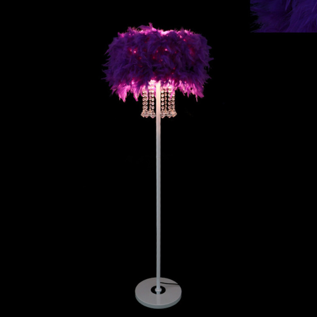 OOVOV Feather Floor Lamp Simple Crystal Floor Lamp Height 59.1&quot;