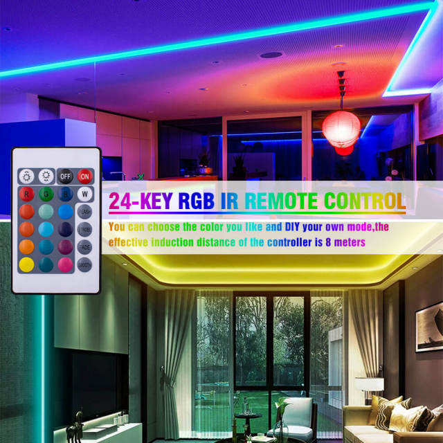 LED Light Strip Wifi Remote Control 12V-5050 RGB 24 Keys Waterproof Light String