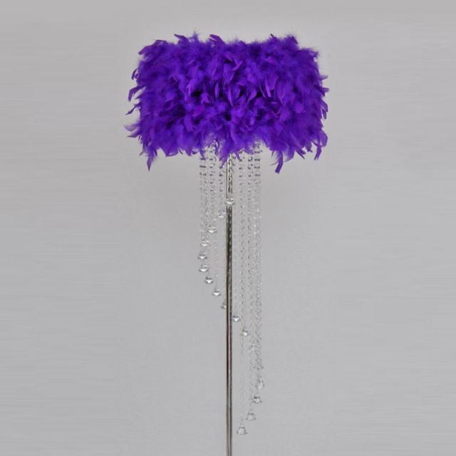 Modern Crystal Floor Lamp with Feather Shade,Chrome Finish and Plentiful Crystals for Living Room/ Bedroom/ Bedside