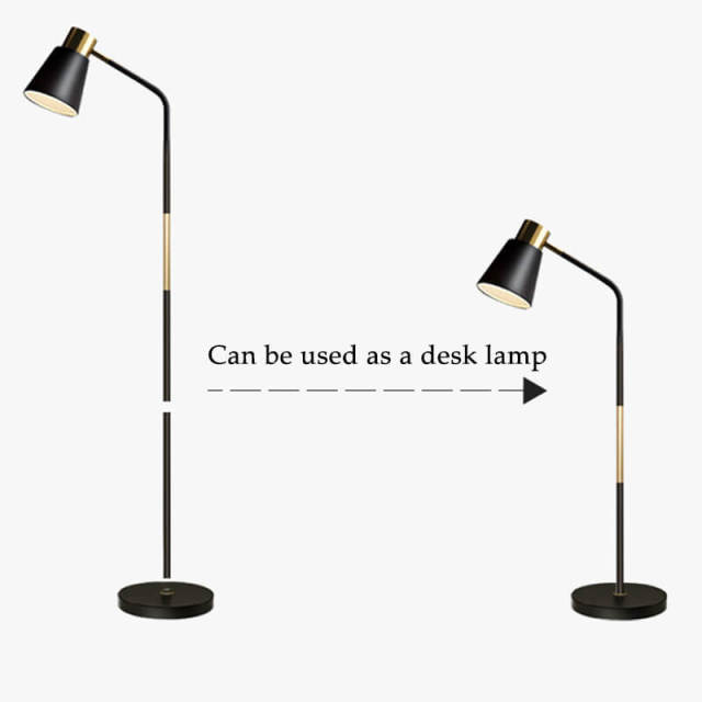Floor Lamp, Modern Floor Lamps for Living Rooms Bedrooms - Simple Reading Lamp, Adjustable Metal Heads Indoor Standing Lighting