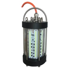 500w 600w 1000w 2000w 3000w Acero inoxidable IP68 Impermeable LED Luces de pesca subacuáticas