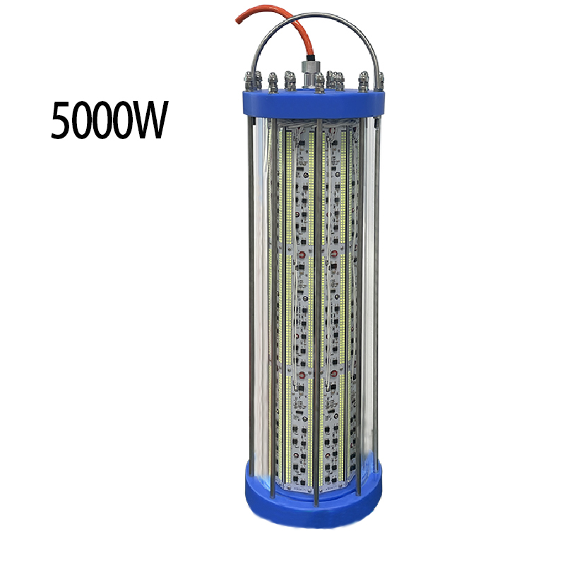 Ilumine las profundidades: revolucione su experiencia de pesca con las nuevas luces de pesca submarinas de 5000 W