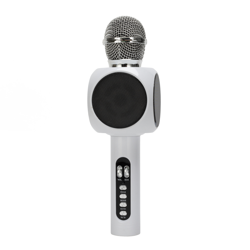 Speaker Wireless Microphone with Noise Cancellation for Home KTV