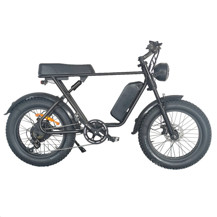 1000w Fat Tire Electric Hybrid Bicycle With Quality Choice