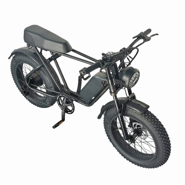 1000w Fat Tire Electric Hybrid Bicycle With Quality Choice