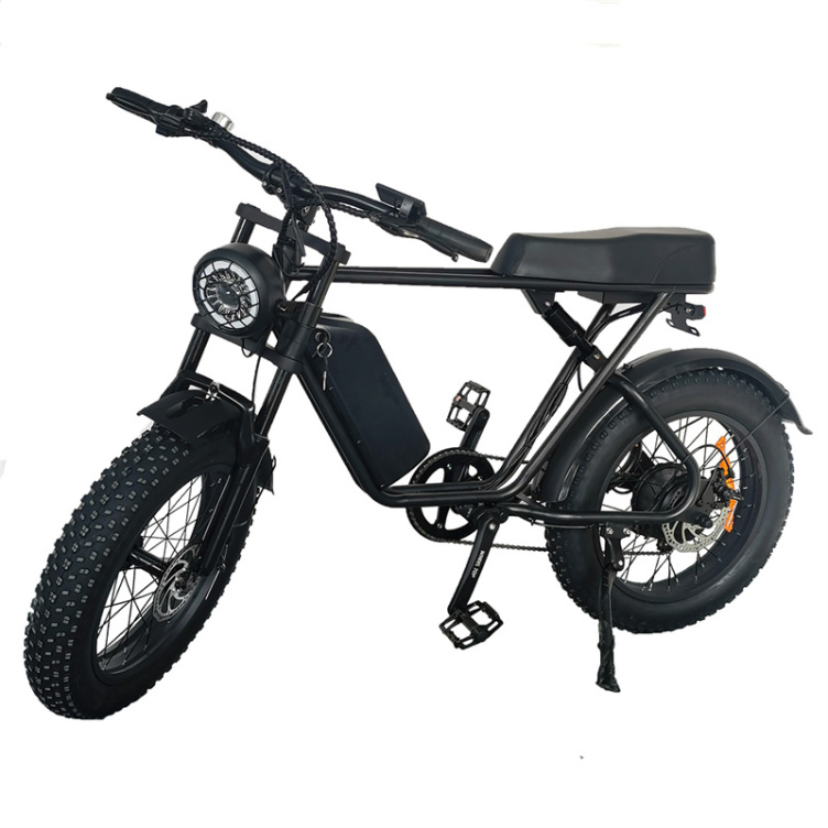 1000w Fat Tire Electric Hybrid Bicycle With Quality Choice