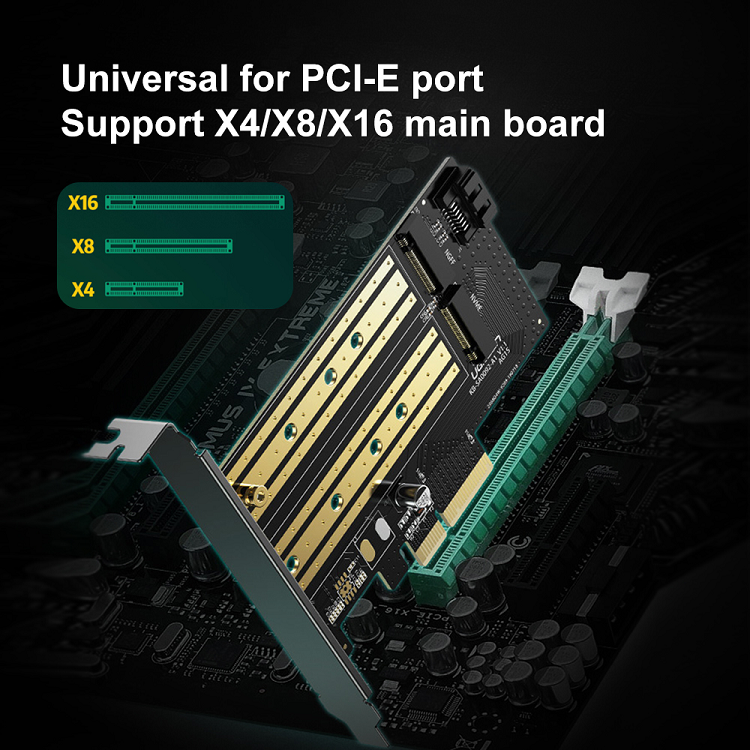 Adapter PCIe Card