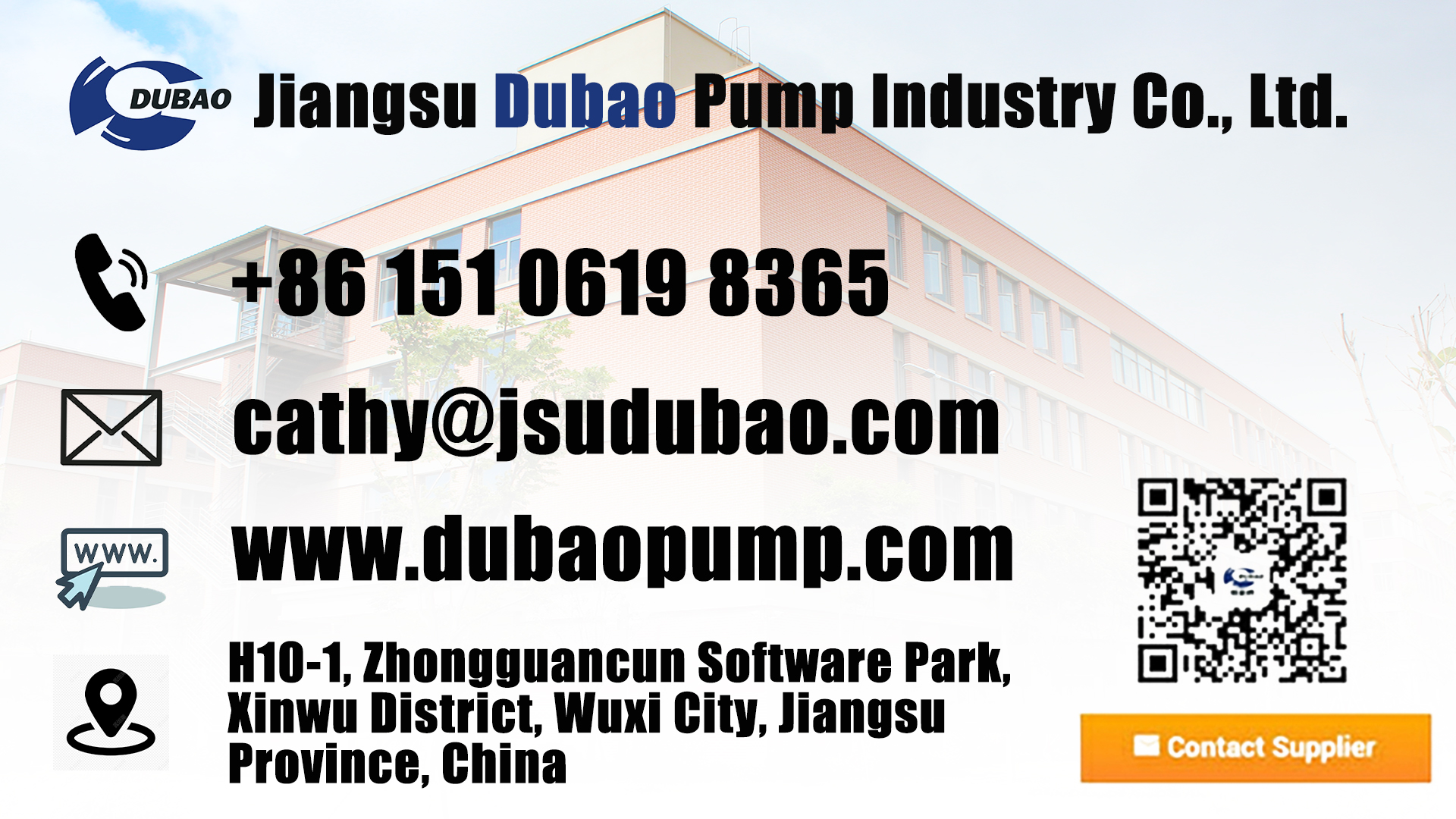 china pump Manufacturer Dubao Pump