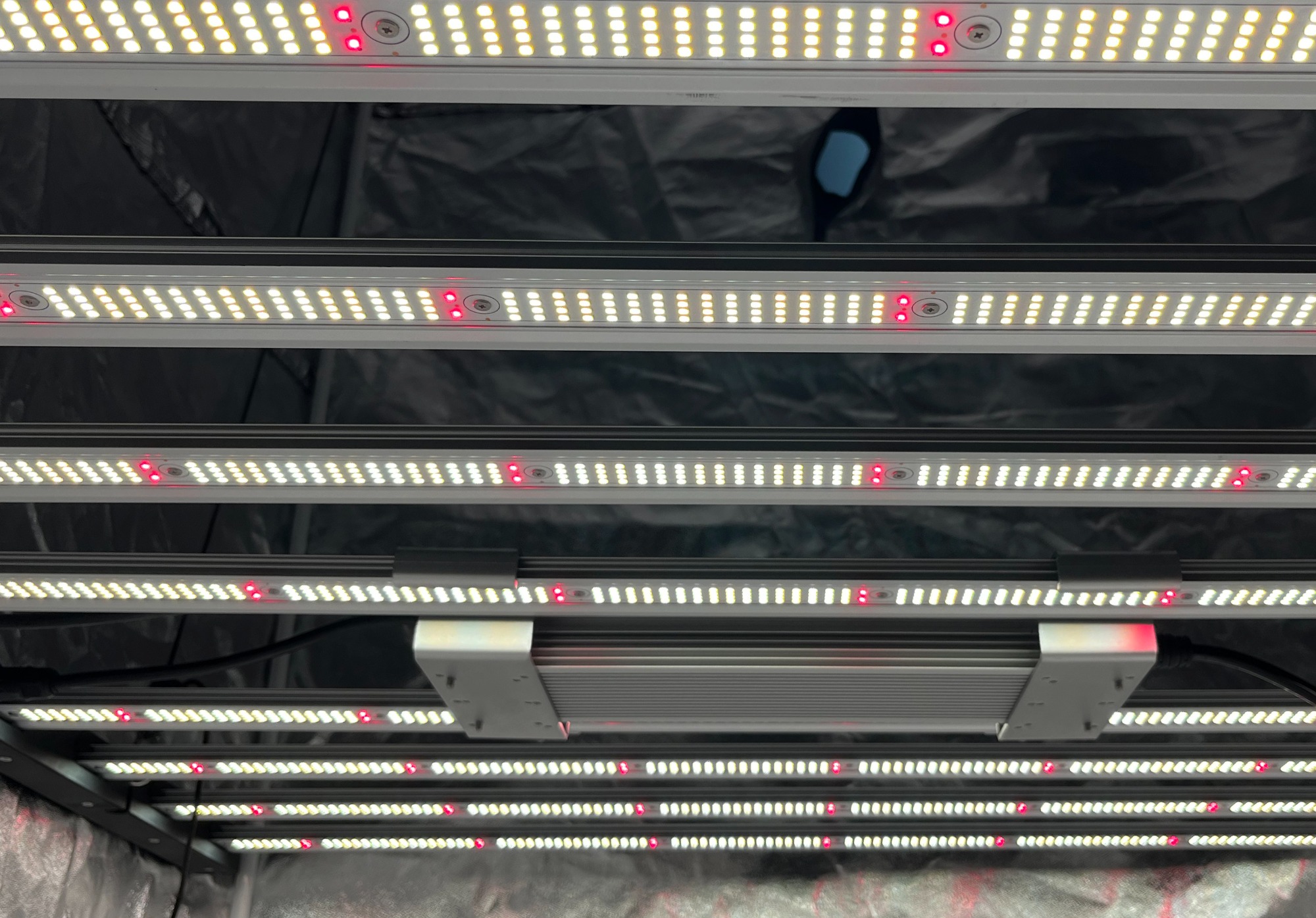 How to distinguish between good and bad LED grow lights