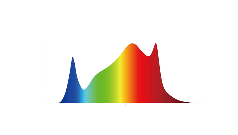 The role of different wavelengths of LED plant lighting