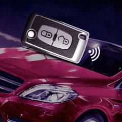 For Citroen 2 button TPU protective key case, please choose the color